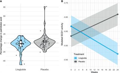 Liraglutide Lowers Palmitoleate Levels in Type 2 Diabetes. A Post Hoc Analysis of the LIRAFLAME Randomized Placebo-Controlled Trial